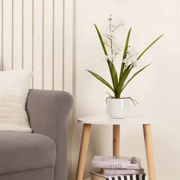 Mini Orchid Plant with Pot - White, Ceramic image
