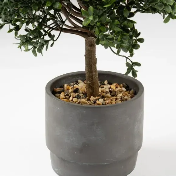 Mini Topiary Plant with Cement Pot - Green