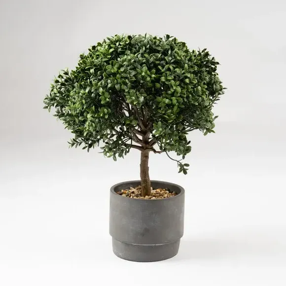 Mini Topiary Plant with Cement Pot - Green