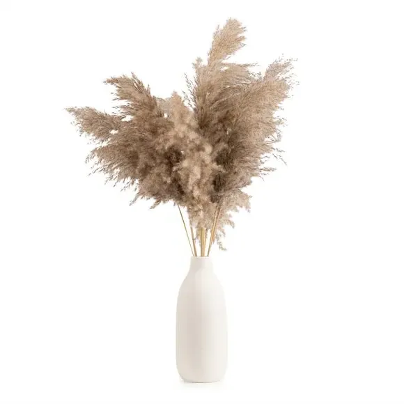 Pampas Grass Arrangement - Green, Ceramic Vase