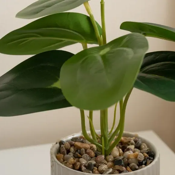 Set of 3 Artificial Plants - Green, Ceramic