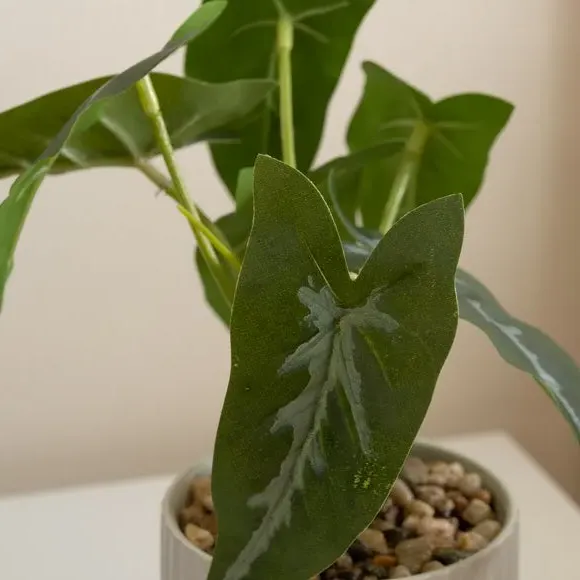 Set of 3 Artificial Plants - Green, Ceramic