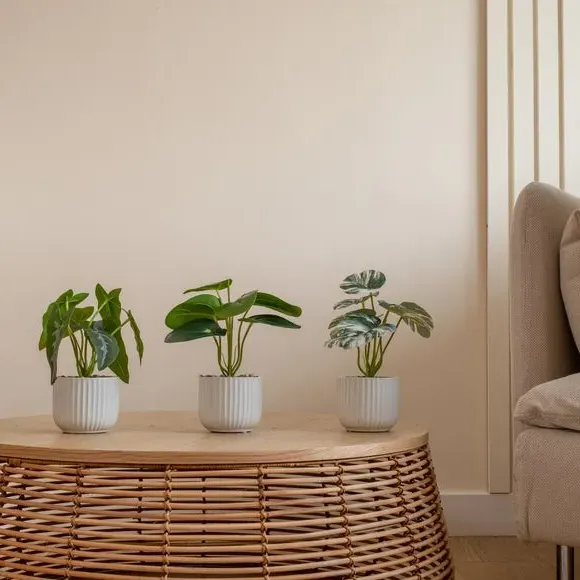 Set of 3 Artificial Plants - Green, Ceramic image