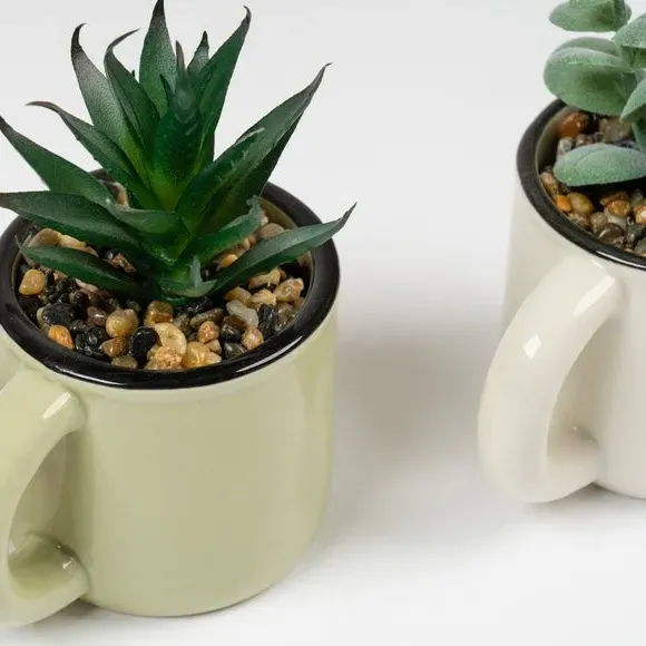 Set of 3 Artificial Succulents in Mugs - Green