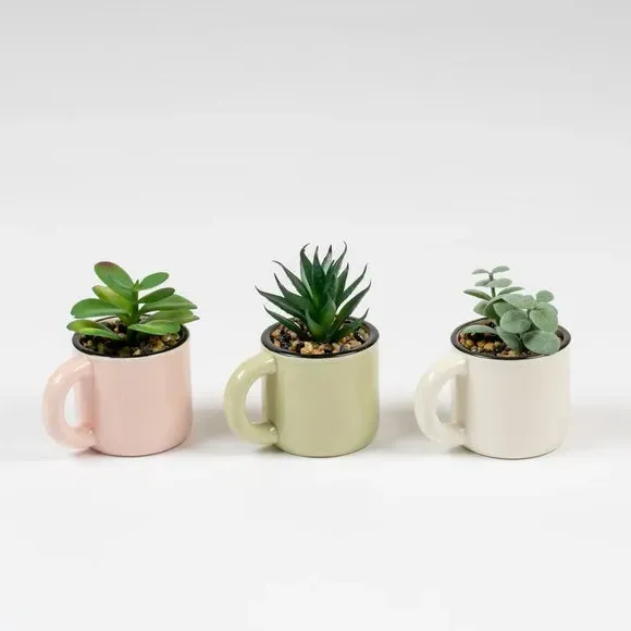 Set of 3 Artificial Succulents in Mugs - Green
