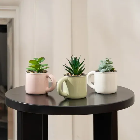 Set of 3 Artificial Succulents in Mugs - Green image