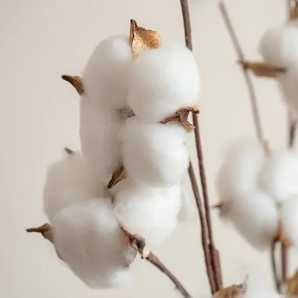 Set of 3 Cotton Ball Branches - White, Artificial