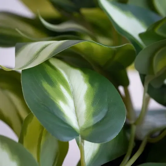 Trailing Artificial Plant - Green, Plastic