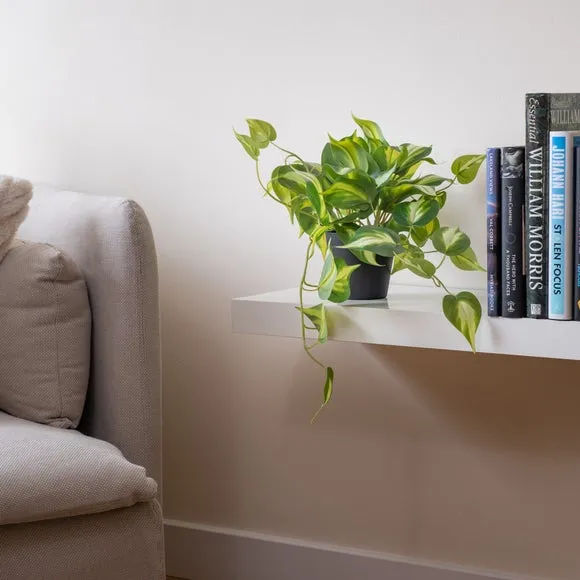 Trailing Artificial Plant - Green, Plastic image