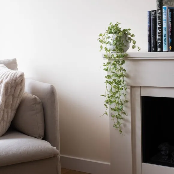 Trailing Artificial Plant with Pot - Green image