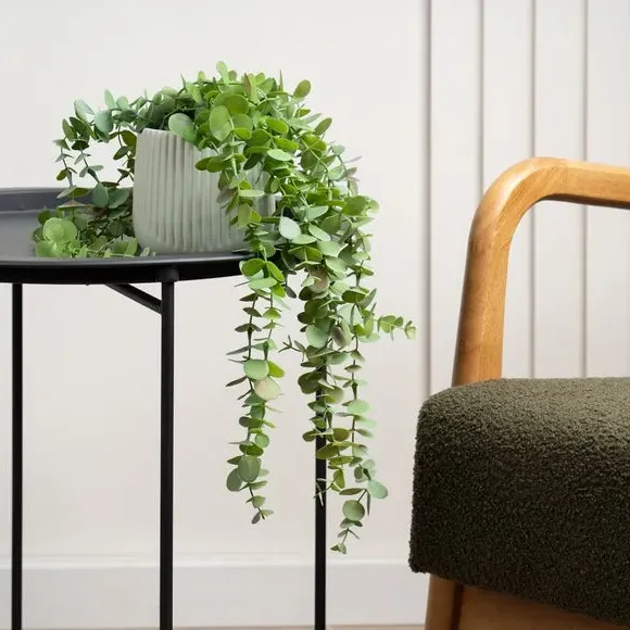 Trailing Eucalyptus Plant - Green, Artificial image