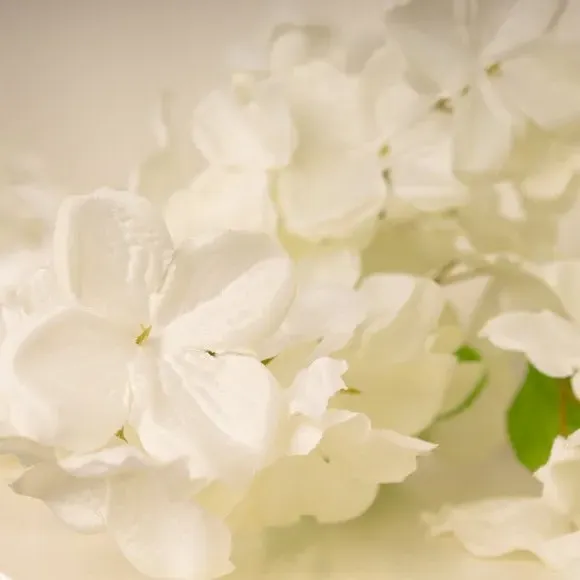 Trailing Hydrangea Garland - White, Artificial