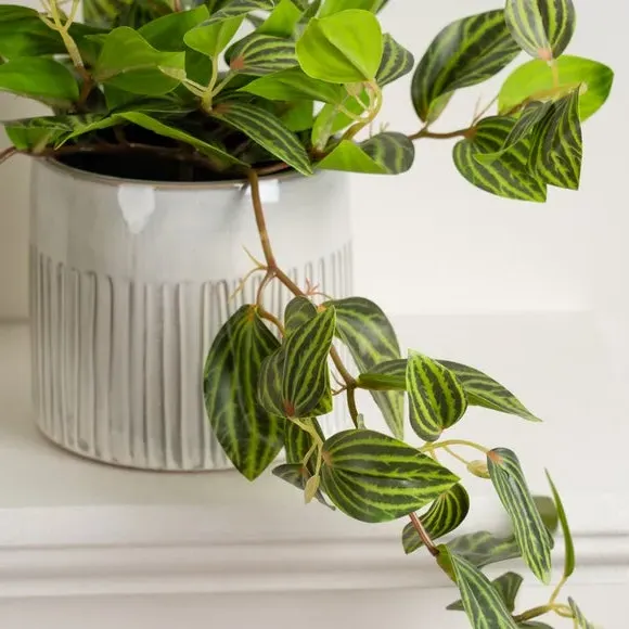 Trailing Plant Artificial - Green, Plastic