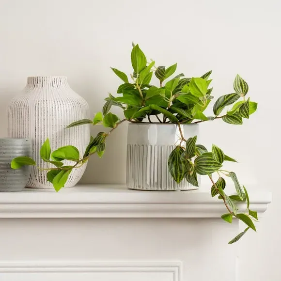 Trailing Plant Artificial - Green, Plastic image
