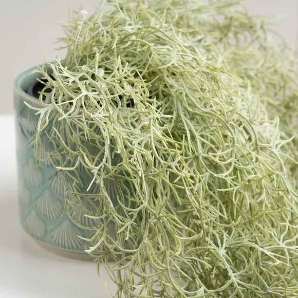 Trailing Spanish Moss Plant - Green, Artificial