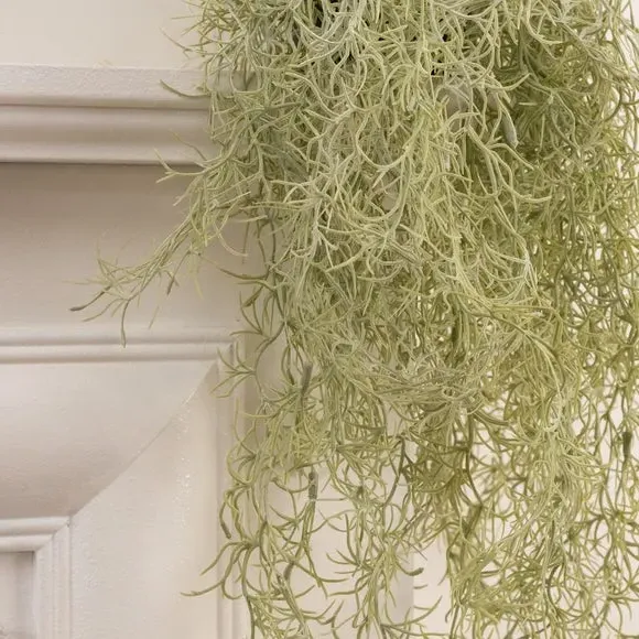 Trailing Spanish Moss Plant - Green, Artificial