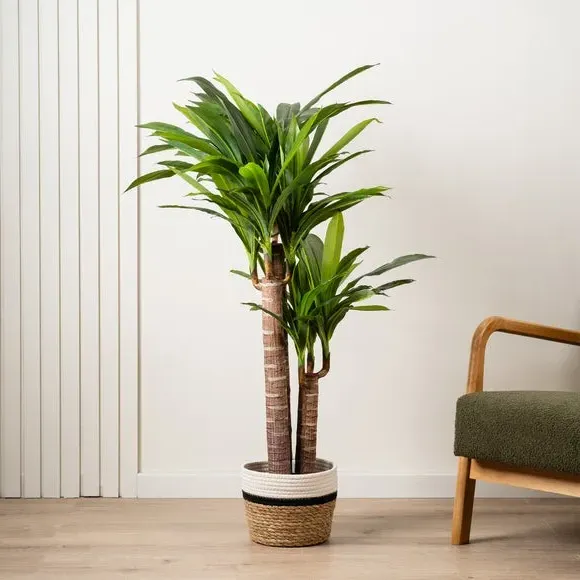 Triple Stem Artificial Yucca Tree - Green image
