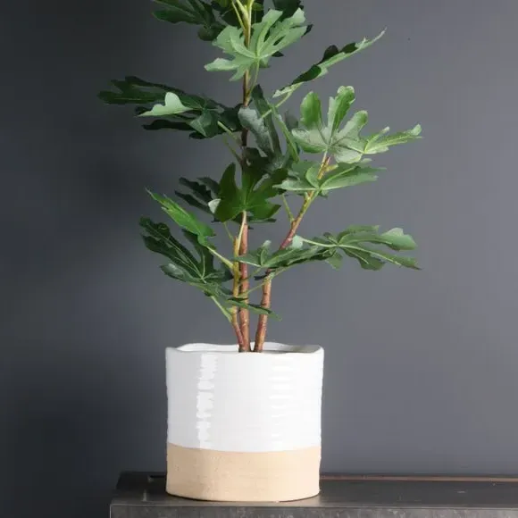 Two Tone Plant Pot - Multicolor, Rustic Finish