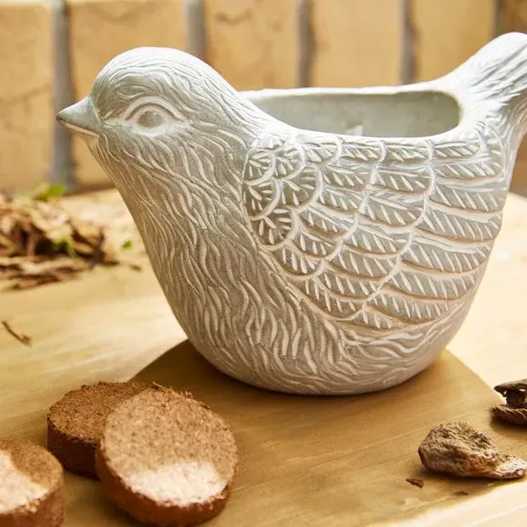 Robin Plant Pot with Anemone Kit - Grey, Stone