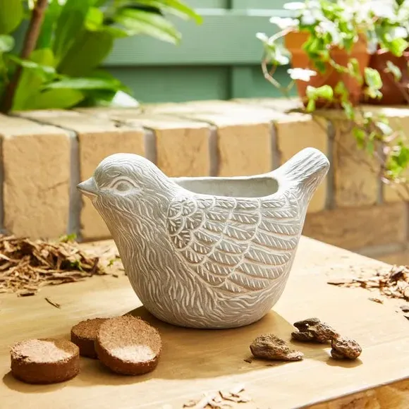 Robin Plant Pot with Anemone Kit - Grey, Stone