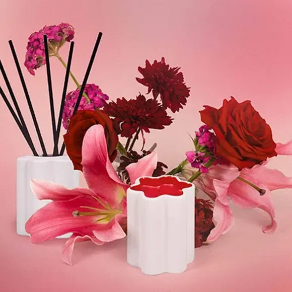 Reed Diffuser with Ceramic Holder - White