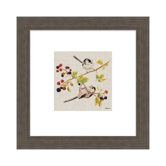 Framed Print Birdie Gymnastics - Multicolor