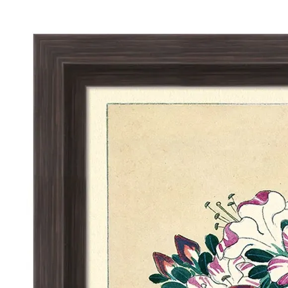 Framed Print Blooming Azalea - Multicolor