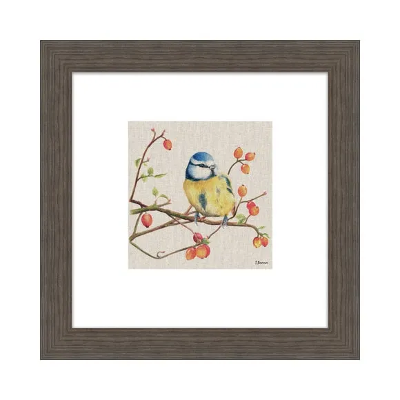 Framed Print Bundle of Mischief - Multicolor