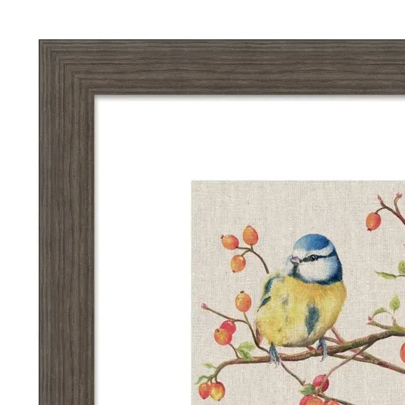 Framed Print Bundle of Mischief - Multicolor