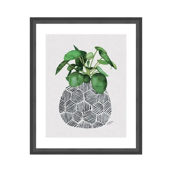 Framed Print Chinese Money Plant - Green