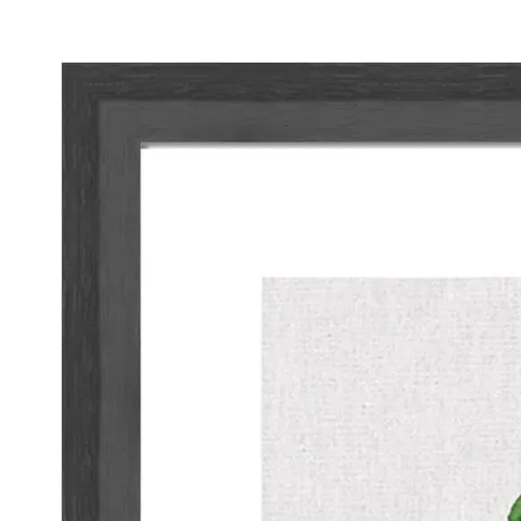 Framed Print Chinese Money Plant - Green