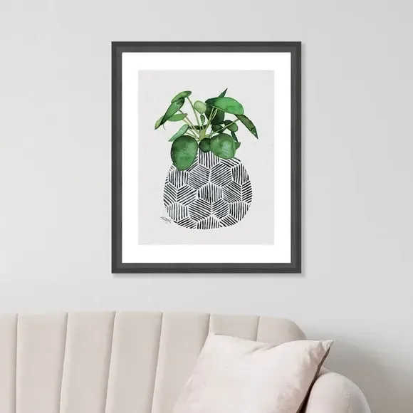 Framed Print Chinese Money Plant - Green