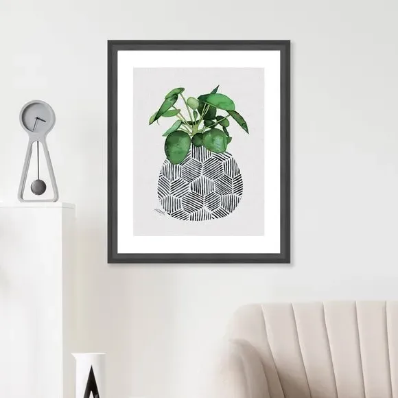 Framed Print Chinese Money Plant - Green image