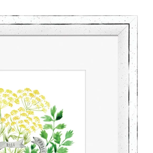 Framed Print Culinary Herbs - Multicolor