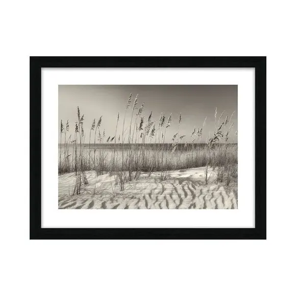 Framed Print Dune Grass - Black/White