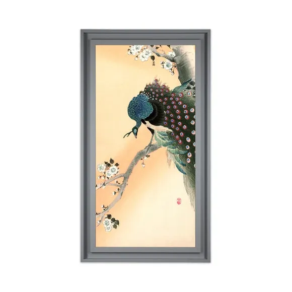 Framed Print Peacock Art - Multicolor