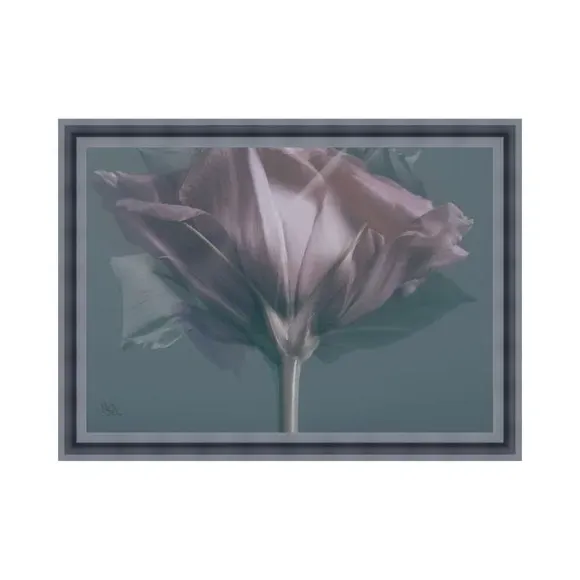 Framed Print Rose Design - Multicolor