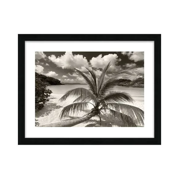 Framed Print Still Growing To The Sun - Black