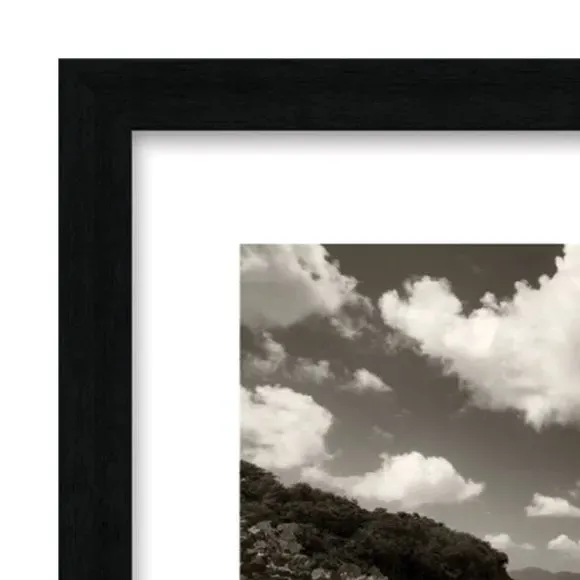 Framed Print Still Growing To The Sun - Black