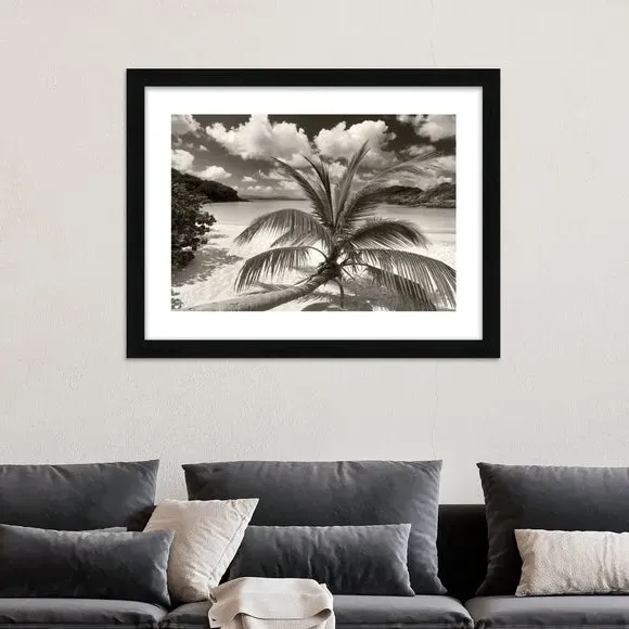 Framed Print Still Growing To The Sun - Black image