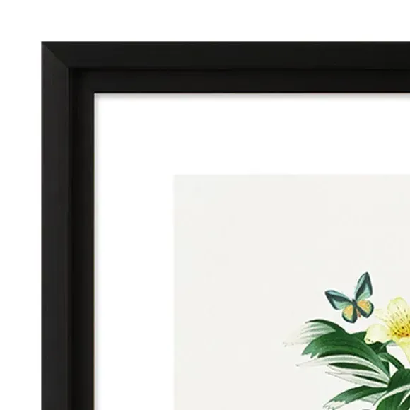 Framed Print Tiger Palm Design - Green