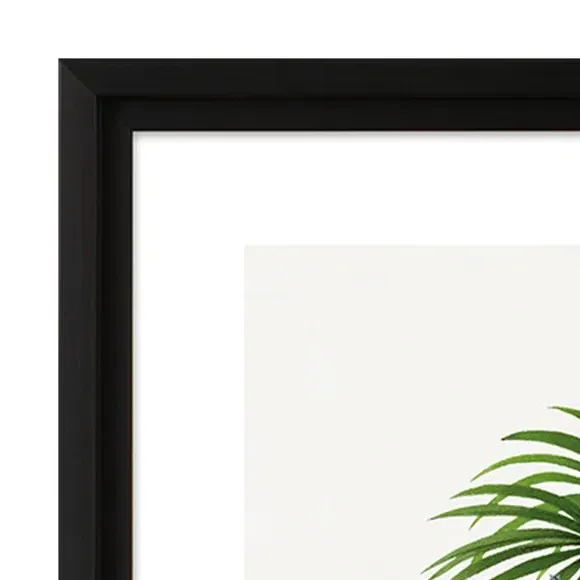 Framed Print Zebra Palm - Green