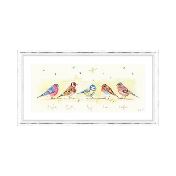 Garden Birds Framed Print - Multicolor