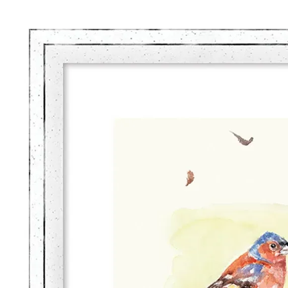 Garden Birds Framed Print - Multicolor