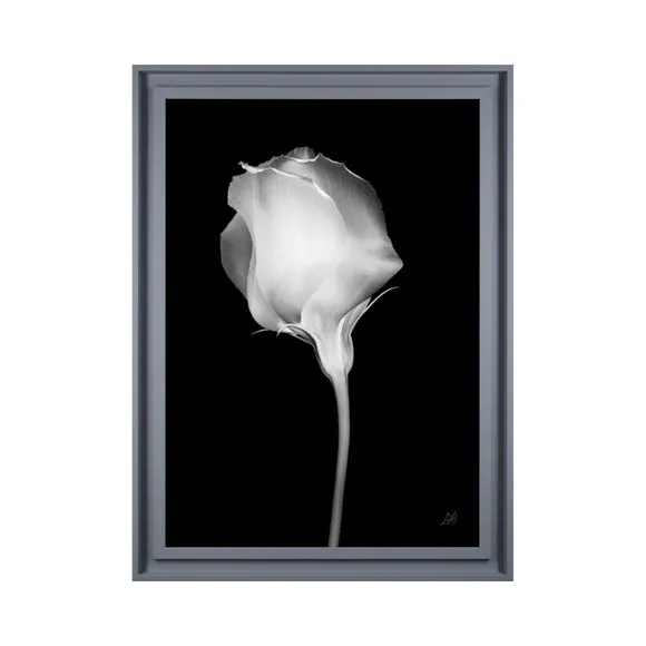 Mono Floral Framed Print - Black/White