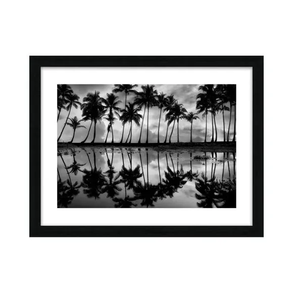 Palm Reflection Framed Print - Black