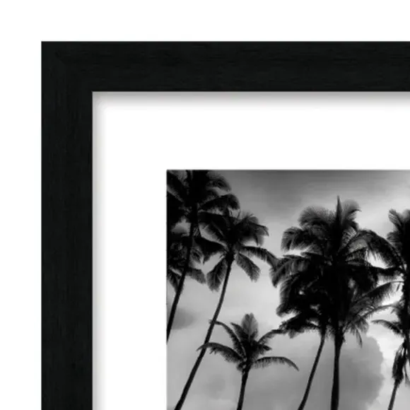 Palm Reflection Framed Print - Black