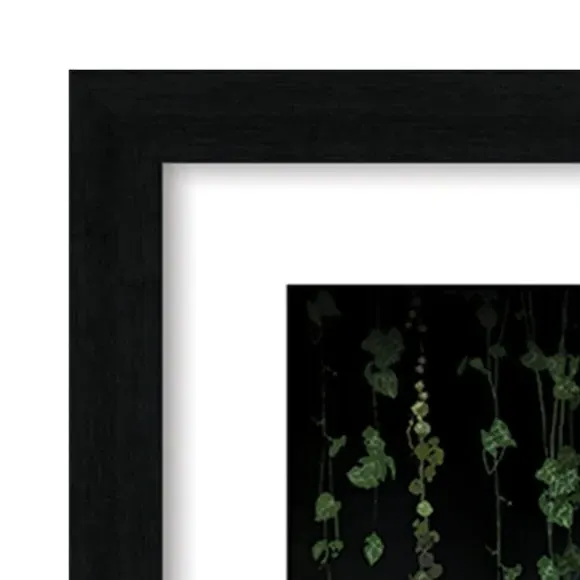Panther Framed Print - Black