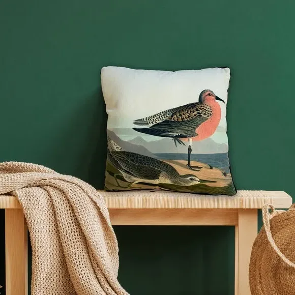 Square Cushion with Bird Print - Grey, Velvet