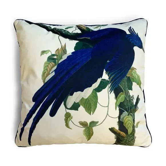 Square Cushion with Columbia Jay Print - Blue, Velvet